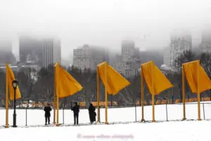 susana millman art travel photo of installation the gates by Christo and Jeanne Claude 2005 New York