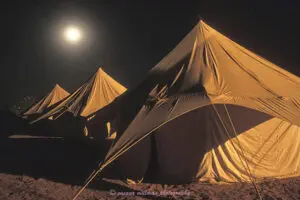 susana millman India travel photo of tourist camp full moon pushkar