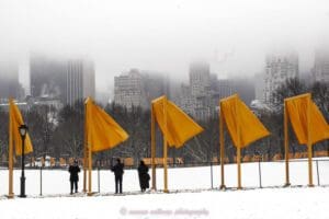 susana millman art travel photo of installation the gates by Christo and Jeanne Claude 2005 New York